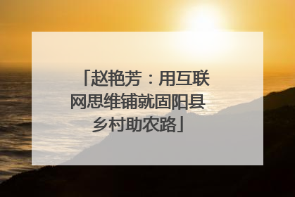 赵艳芳：用互联网思维铺就固阳县乡村助农路